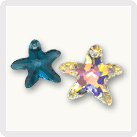 Etoiles de mer 6721