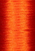 Queue de rat orange 3 mm x1m
