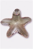 Etoile de mer 6721 16 mm silk x1