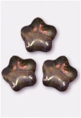 Etoile 8 mm lumi brown x12