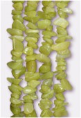 Chips jade olive x 90cm