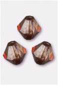 Toupie 4 mm lumi brown x50
