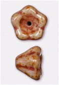 Cloche fleur 6x8 mm butter pecan x6