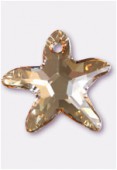Etoile de mer 6721 16 mm crystal golden shadow x1