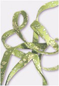 Biais Liberty capel L x 1 m
