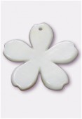 Pendentif pervenche en nacre 30 mm blanc x1