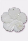 Pendentif hibiscus en nacre 40 mm blanc x1