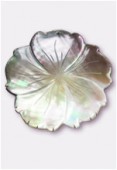 Pendentif hibiscus en nacre 40 mm gris x1