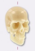 Tête de mort en résine 25x16 mm ivoire x1