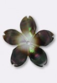 Fleur 5 feuilles en nacre 12 mm gris x1