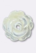Rose en nacre 8 mm blanc x1