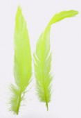 Plume de queue de coq yellow 10/15 cm x2