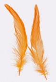 Plume de queue de coq orange 10/15 cm x2