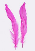 Plume de queue de coq pink 10/15 cm x2