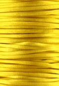 Queue de rat jaune d'or 3 mm x1m