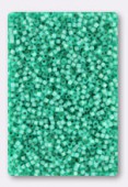 Miyuki Delica 11/0 DB0627 dyed aqua green s/l alabaster x10g