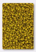 Rocaille 2 mm mustard stripes x20g