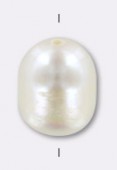 Perle d'eau douce blanche 7/8 mm x1