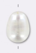 Perle d'eau douce blanche 7x10 mm x1