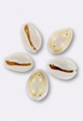 Cauri coquillage Cauri naturel 2 trous x2