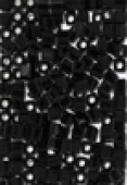 Miyuki square beads 4 mm SB-0401 opaque black x20g