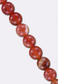 Agate peau de serpent ronde 6 mm x4