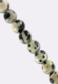 Jaspe dalmatien ronde 6 mm x10